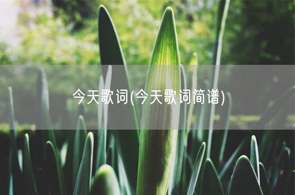 今天歌词(今天歌词简谱)(图1)