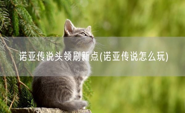 诺亚传说头领刷新点(诺亚传说怎么玩)(图1) 诺亚传说头领刷新点(诺亚传说怎么玩)(图1)