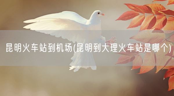 昆明火车站到机场(昆明到大理火车站是哪个)(图1) 昆明火车站到机场(昆明到大理火车站是哪个)(图1)