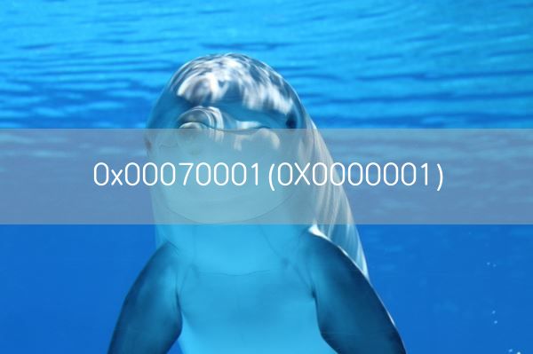 0x00070001(0X0000001)(图1)