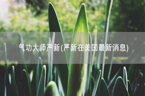 气功大师严新(严新在美国最新消息)(图1) 气功大师严新(严新在美国最新消息)(图1)