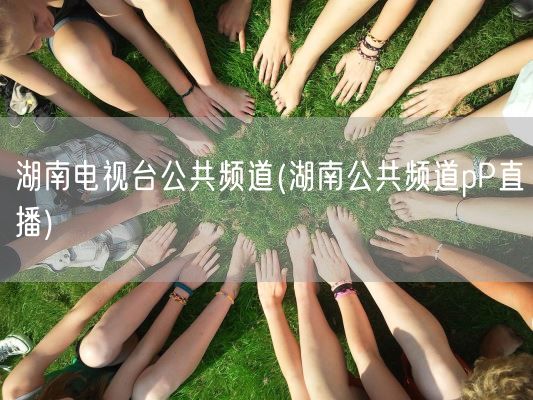 湖南电视台公共频道(湖南公共频道pP直播)(图1) 湖南电视台公共频道(湖南公共频道pP直播)(图1)