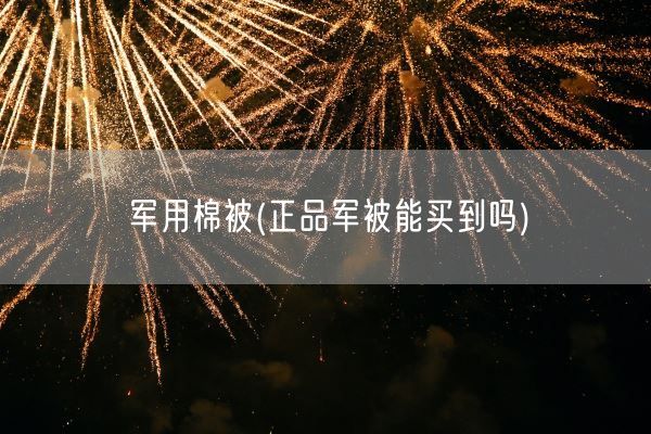 军用棉被(正品军被能买到吗)(图1) 军用棉被(正品军被能买到吗)(图1)