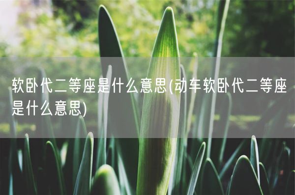 软卧代二等座是什么意思(动车软卧代二等座是什么意思)(图1) 软卧代二等座是什么意思(动车软卧代二等座是什么意思)(图1)