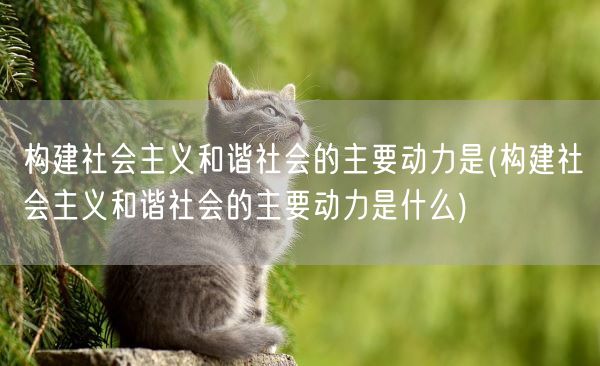 构建社会主义和谐社会的主要动力是(构建社会主义和谐社会的主要动力是什么)(图1) 构建社会主义和谐社会的主要动力是(构建社会主义和谐社会的主要动力是什么)(图1)