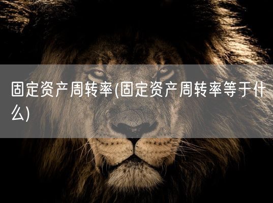 固定资产周转率(固定资产周转率等于什么)(图1)