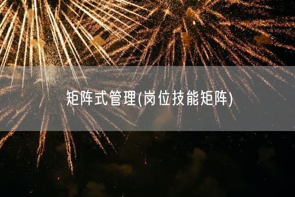 矩阵式管理(岗位技能矩阵)(图1) 矩阵式管理(岗位技能矩阵)(图1)