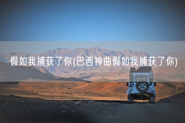 假如我捕获了你(巴西神曲假如我捕获了你)(图1)