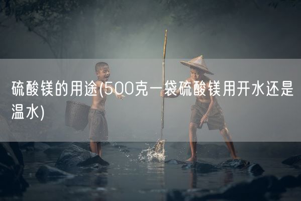 硫酸镁的用途(500克一袋硫酸镁用开水还是温水)(图1)