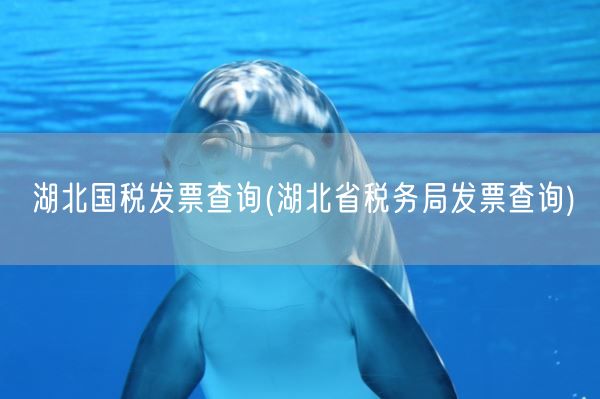 湖北国税发票查询(湖北省税务局发票查询)(图1)