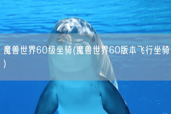 魔兽世界60级坐骑(魔兽世界60版本飞行坐骑)(图1)