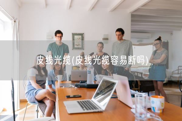 皮线光缆(皮线光缆容易断吗)(图1) 皮线光缆(皮线光缆容易断吗)(图1)