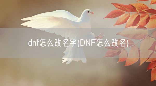 dnf怎么改名字(DNF怎么改名)(图1)
