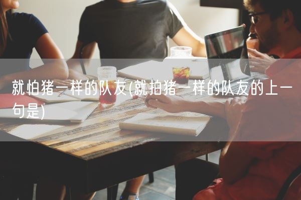 就怕猪一样的队友(就拍猪一样的队友的上一句是)(图1)