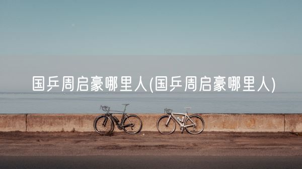 国乒周启豪哪里人(国乒周启豪哪里人)(图1)