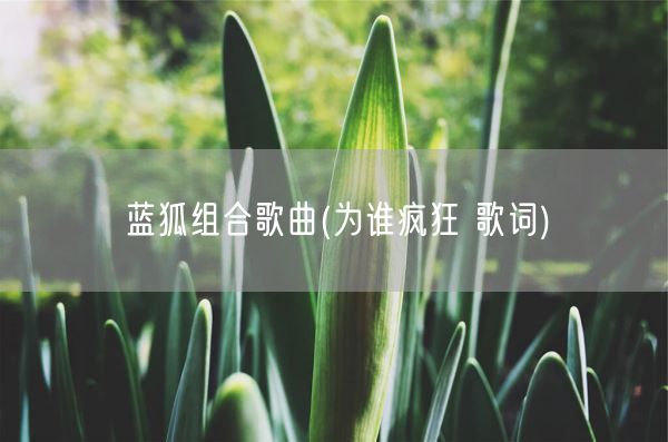蓝狐组合歌曲(为谁疯狂 歌词)(图1)