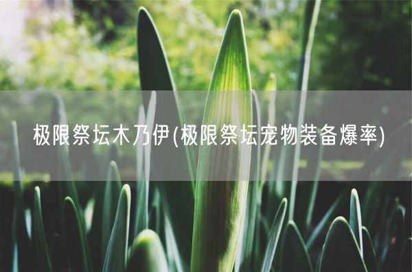 极限祭坛木乃伊(极限祭坛宠物装备爆率)(图1)