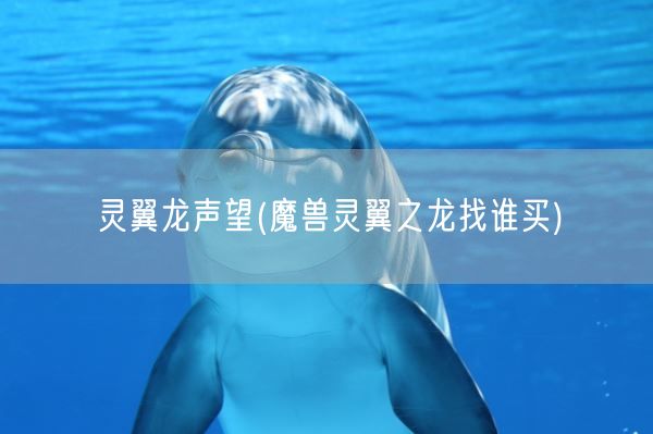 灵翼龙声望(魔兽灵翼之龙找谁买)(图1) 灵翼龙声望(魔兽灵翼之龙找谁买)(图1)