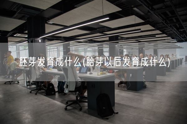 胚芽发育成什么(胎芽以后发育成什么)(图1) 胚芽发育成什么(胎芽以后发育成什么)(图1)