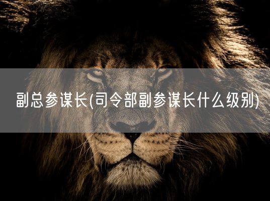煤球哥李新义(煤二哥是哪里人)(图1) 煤球哥李新义(煤二哥是哪里人)(图1)