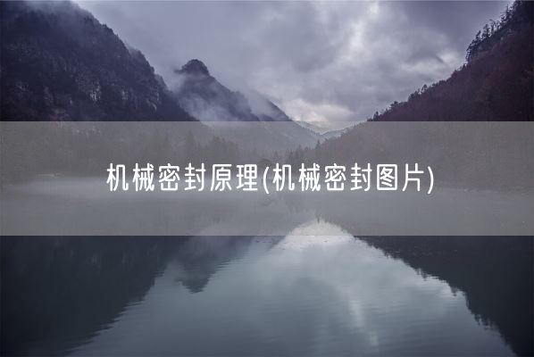 机械密封原理(机械密封图片)(图1) 机械密封原理(机械密封图片)(图1)