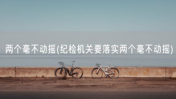 两个毫不动摇(纪检机关要落实两个毫不动摇)(图1) 两个毫不动摇(纪检机关要落实两个毫不动摇)(图1)