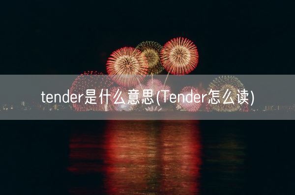 tender是什么意思(Tender怎么读)(图1) tender是什么意思(Tender怎么读)(图1)