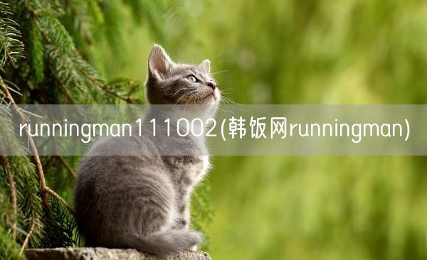 runningman111002(韩饭网runningman)(图1) runningman111002(韩饭网runningman)(图1)