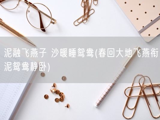 泥融飞燕子 沙暖睡鸳鸯(春回大地飞燕衔泥鸳鸯静卧)(图1)