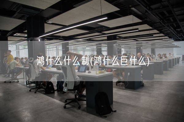 鸿什么什么制(鸿什么巨什么)(图1)