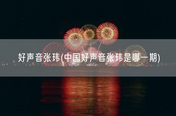 好声音张玮(中国好声音张玮是哪一期)(图1)