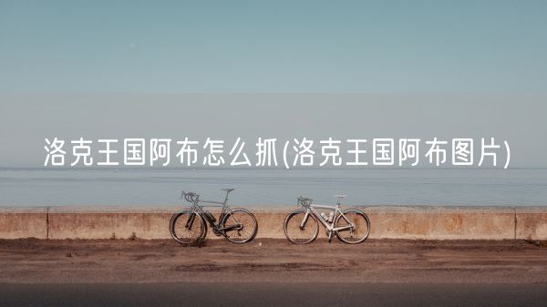洛克王国阿布怎么抓(洛克王国阿布图片)(图1)