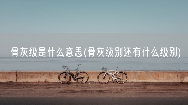 骨灰级是什么意思(骨灰级别还有什么级别)(图1) 骨灰级是什么意思(骨灰级别还有什么级别)(图1)