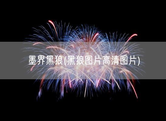墨界黑狼(黑狼图片高清图片)(图1) 墨界黑狼(黑狼图片高清图片)(图1)