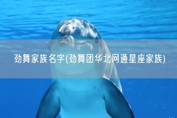 劲舞家族名字(劲舞团华北网通星座家族)(图1)