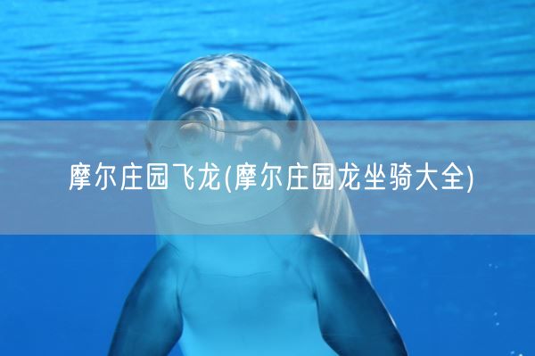 摩尔庄园飞龙(摩尔庄园龙坐骑大全)(图1) 摩尔庄园飞龙(摩尔庄园龙坐骑大全)(图1)
