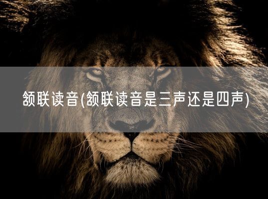 颔联读音(颔联读音是三声还是四声)(图1) 颔联读音(颔联读音是三声还是四声)(图1)