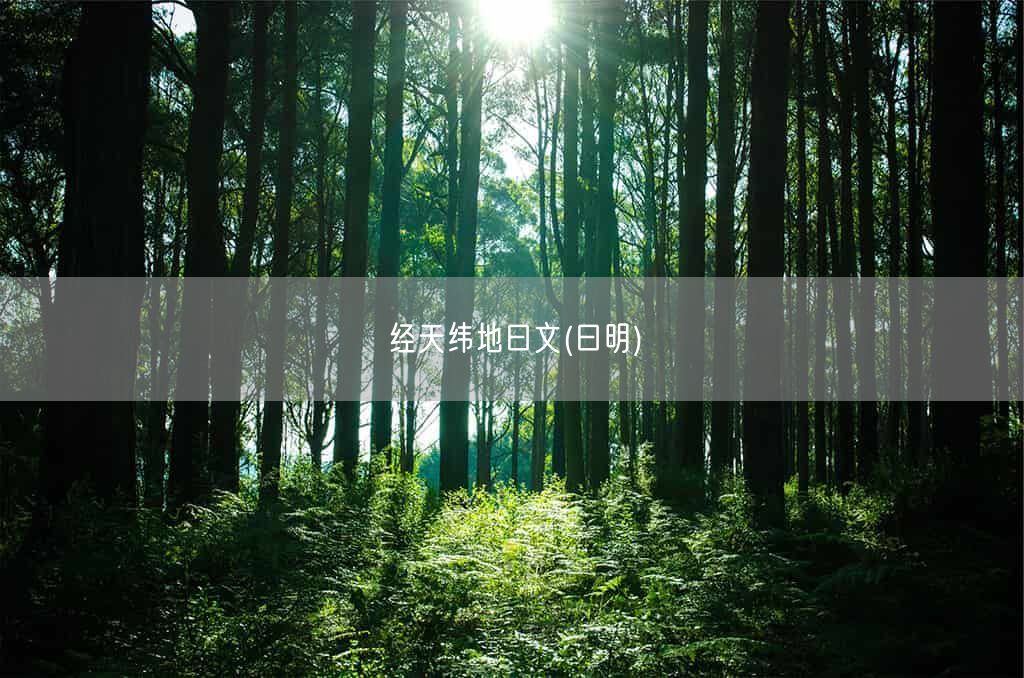 经天纬地曰文(曰明)(图1)
