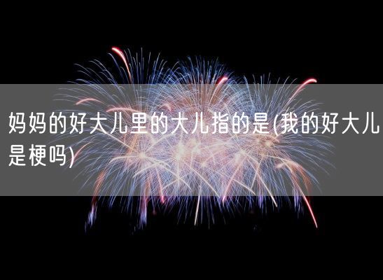 妈妈的好大儿里的大儿指的是(我的好大儿是梗吗)(图1)