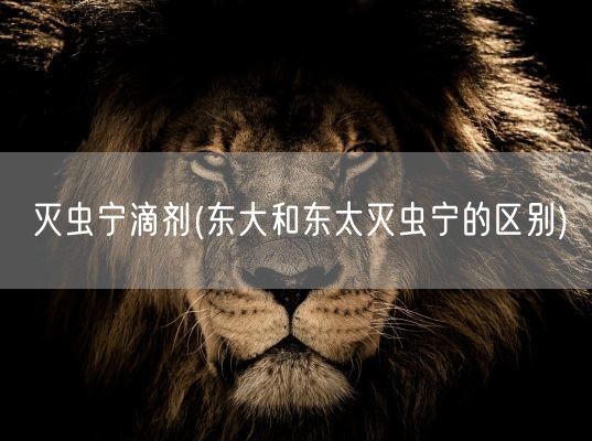 灭虫宁滴剂(东大和东太灭虫宁的区别)(图1)