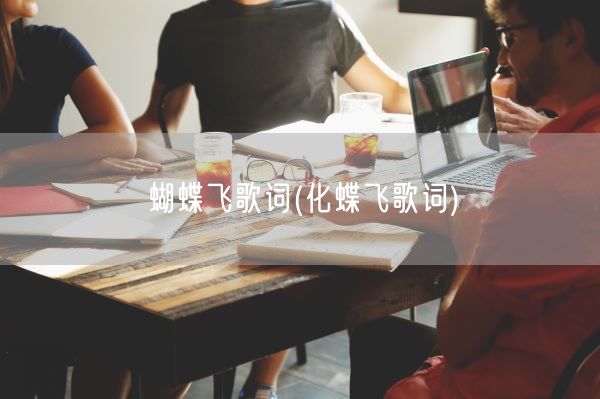 蝴蝶飞歌词(化蝶飞歌词)(图1)