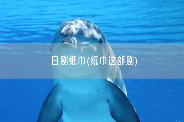 日剧纸巾(纸巾这部剧)(图1)