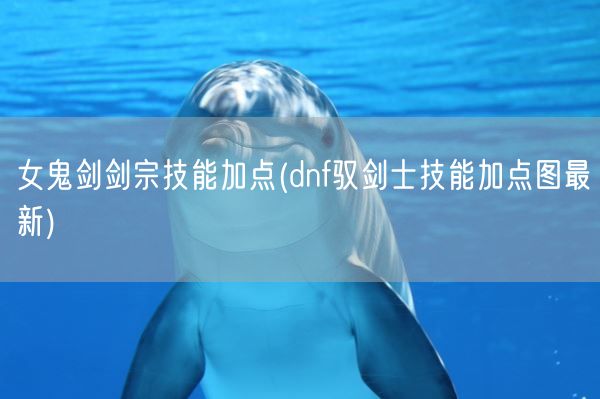 女鬼剑剑宗技能加点(dnf驭剑士技能加点图最新)(图1)