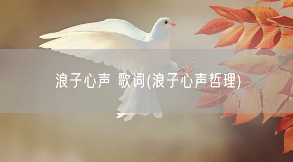 浪子心声 歌词(浪子心声哲理)(图1) 浪子心声 歌词(浪子心声哲理)(图1)