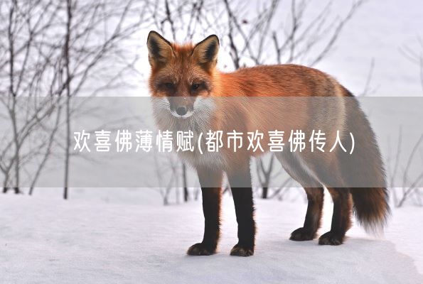 欢喜佛薄情赋(都市欢喜佛传人)(图1)