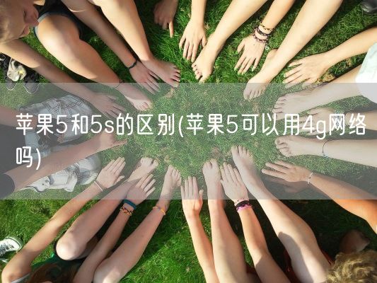 苹果5和5s的区别(苹果5可以用4g网络吗)(图1) 苹果5和5s的区别(苹果5可以用4g网络吗)(图1)