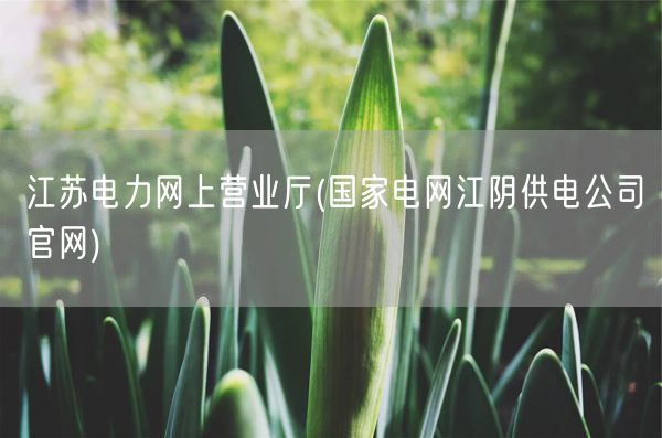 江苏电力网上营业厅(国家电网江阴供电公司官网)(图1) 江苏电力网上营业厅(国家电网江阴供电公司官网)(图1)