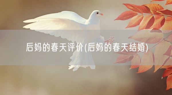后妈的春天评价(后妈的春天结婚)(图1)