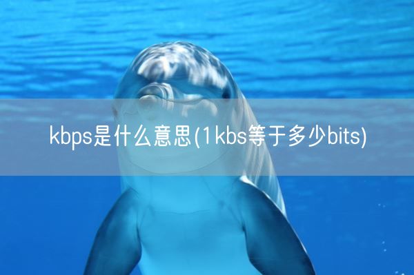 kbps是什么意思(1kbs等于多少bits)(图1)