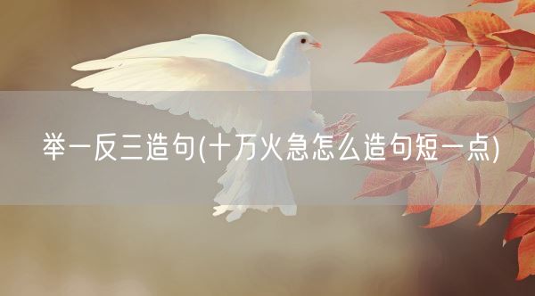 举一反三造句(十万火急怎么造句短一点)(图1)